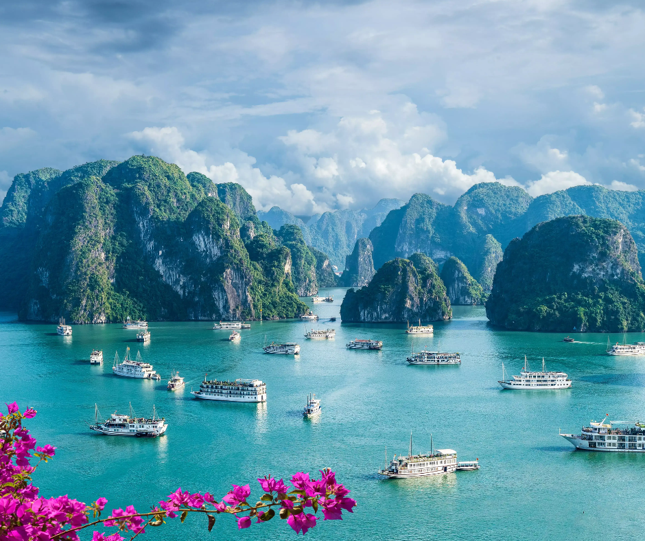 From Hanoi: 8-Day North, Central, & South Vietnam Tour